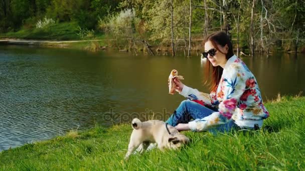 Lanche fácil no pitoresco parque com um lago. Uma mulher está sentada na grama, um cachorro quente está comendo, ao lado dela é um filhote de cachorro de uma raça pug — Vídeo de Stock