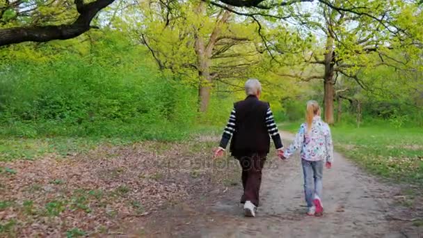 Avó e neta 6 anos de caminhada na floresta de primavera. Estilo de vida ativo na velhice. Visão traseira — Vídeo de Stock