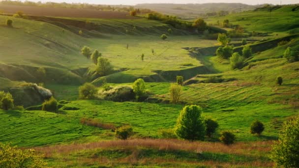 Гарний краєвид з долин і Холмс вкрита пишною зеленню. Відмінна Пасовище та типовий ландшафт Європи. Час до заходу сонця — стокове відео
