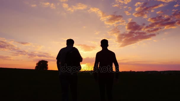 Pai e filho caminham pelo campo ao pôr-do-sol. Vista pelas traseiras, o pai tem uma mochila. Conceito - novos começos, esperança, viagem. Steadicam tiro — Vídeo de Stock