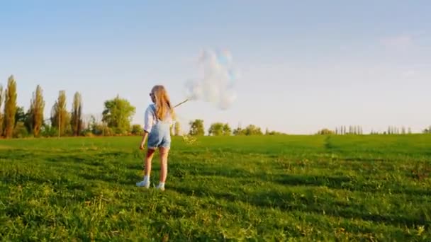 Onbezorgd kind met ballonnen wandelen rond het veld. Veel plezier, tegen de blauwe hemel en weiland met een groen gras vet. Concept - een gelukkige jeugd, een kinderdroom — Stockvideo