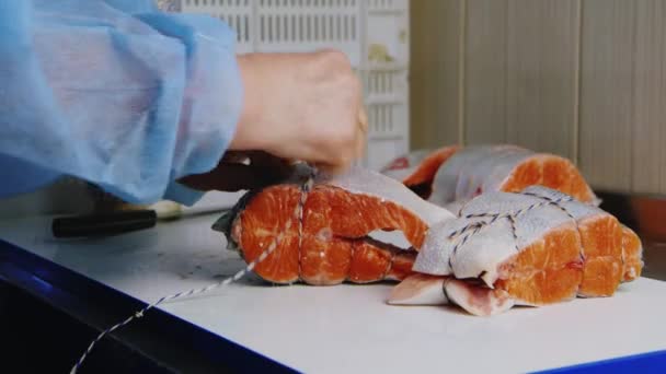 Ženské ruce v rámci tie kousky červené ryby lana. Manuální práce pro továrna na zpracování ryb — Stock video