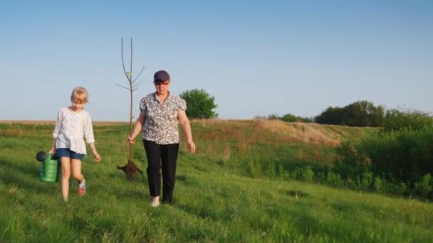 Une femme âgée avec une petite-fille de 6 ans va planter un arbre. Personnes âgées actives, famille forte et traditions — Video