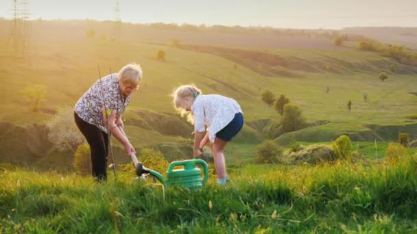 Oma en kleindochter samen een boom te planten. Tegen de achtergrond van een schilderachtige weide en groene heuvels. Actieve ouderen. — Stockvideo