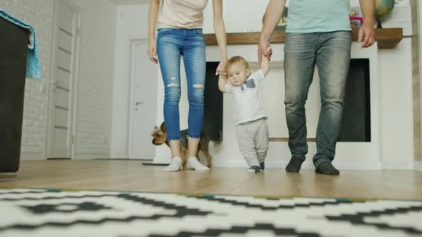 Les parents apprennent à promener un petit garçon à la maison. Ils lui tiennent la main des deux côtés. Leur chien court à côté . — Video