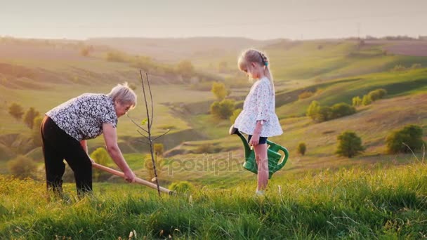 Starší žena, spolu s její vnučka, Zasaď strom. Na pozadí krásné zelené krajiny. Koncept - aktivita ve stáří, zdravého životního stylu