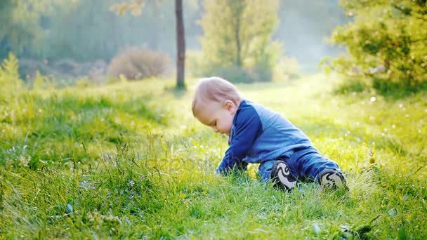 Ein kleiner cooler Junge sitzt auf einer grünen Wiese. Das Gras rostet — Stockvideo