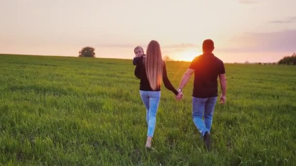 Un jeune couple marié marche le long d'une belle prairie au coucher du soleil. Maman tient le fils des bébés dans ses bras. Famille heureuse avec un enfant — Video