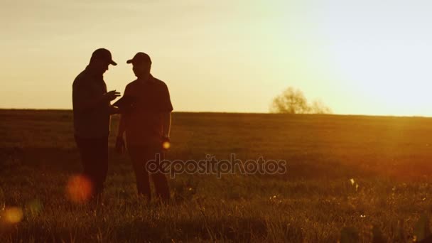 Two agronomists communicate on the field. In the rays of the setting sun, silhouettes are visible. Use a tablet - technologies in agricultural production — Stock Video