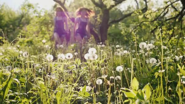 Vídeo en cámara lenta: Dos chicas despreocupadas están corriendo por el campo de los dientes de león al atardecer. Feliz infancia, buen momento . — Vídeo de stock