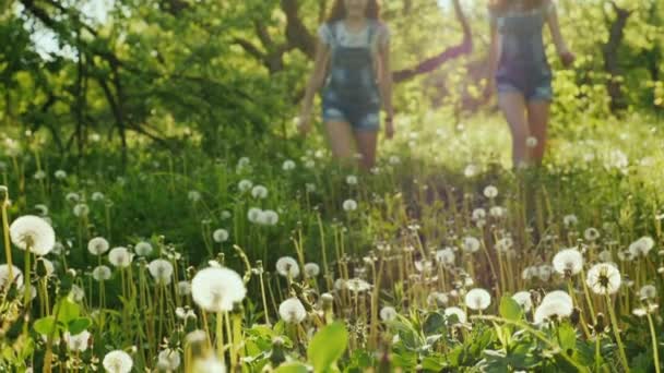 Två sorglösa flickor springer runt i fältet av maskrosor. Lycklig barndom, god tid. 180 fps slowmotion video — Stockvideo