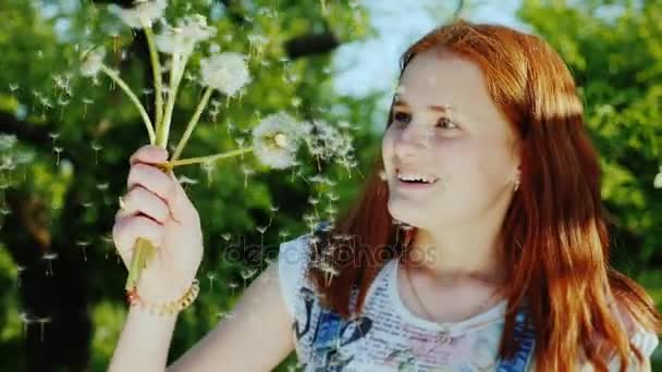 Dospívající dívka s červenými vlasy si hraje s pampelišky květy, baví — Stock video