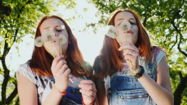 Två röda tvillingsystrar spelar med maskros blommor. Fläktarna blåser på dem, deras hår höjdpunkter solen. Glada ram, en lycklig barndom. 180 fps slowmotion video — Stockvideo