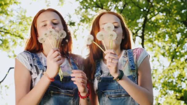 Två tvillingsystrar spela med maskros blommor. Blås bort fröna. Slow motion video — Stockvideo