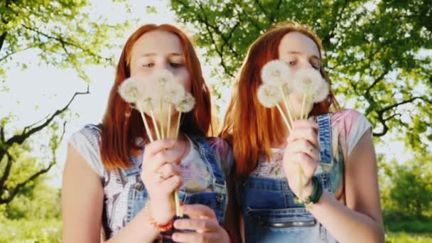 Engraçado ruivo meninas gêmeas adolescentes brincar com flores de dente de leão, explodir sementes. 180 fps vídeo em câmera lenta — Vídeo de Stock