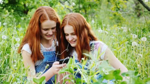 Zwei süße Zwillingsschwestern genießen die Smartphone-Natur. Musik hören, entspannen — Stockvideo