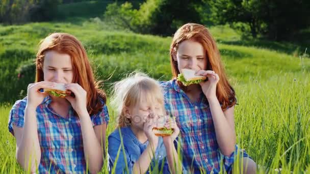姉妹は、緑の牧草地でサンドイッチを食べています。晴れた夏の日の絵のような場所で家族のピクニック — ストック動画