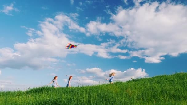 Lustige und unbeschwerte Kinder rennen über die grüne Wiese, spielen mit einem Drachen. Glückliche Kindheit — Stockvideo