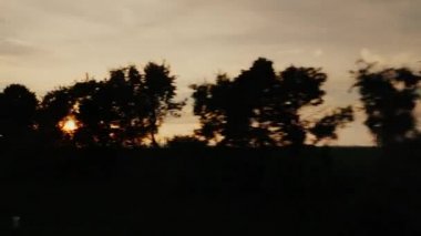 Ağaçlarının silüetler ile güneş. Hareket eden bir arabanın penceresinden görüntülemek