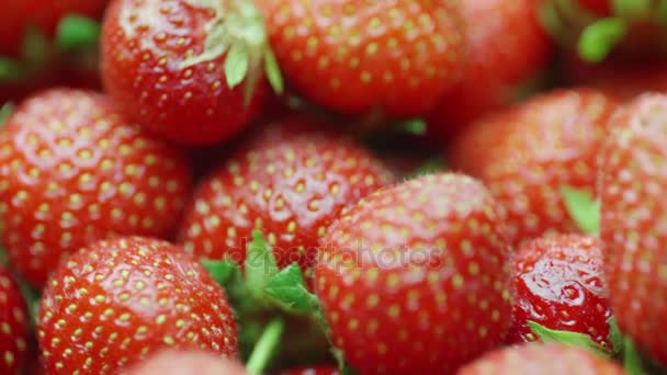 Fresas rojas jugosas, girando. Video con profundidad de campo poco profunda — Vídeo de stock