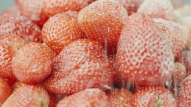 Kırmızı sulu çilek ile şeker serpin. Şeker taneleri çilek Çilek, ağır çekim video düşmek