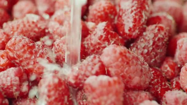 A stream of water pours on raspberries. Slow Motion video — Stock Video