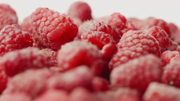 Juicy red raspberries, spin on white background — Stock Video