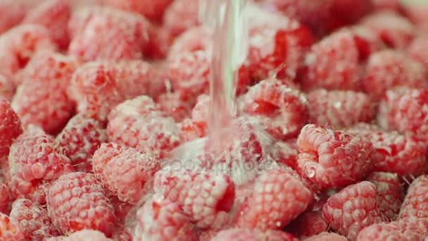 A stream of water pours on the red fresh raspberries. Slow Motion video — Stock Video