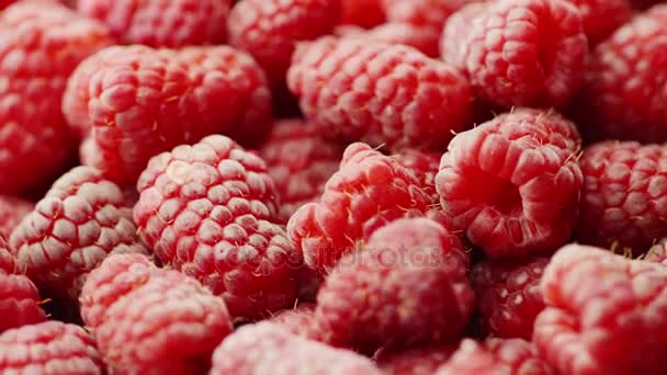 Fond de fruits. Beaucoup de framboises rouges tournent — Video