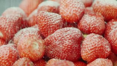 Şeker taneleri sulu taze çilek., ağır çekim video düşmek