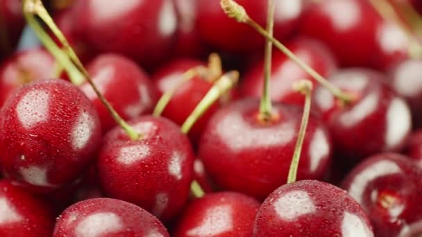 Appetizing red cherries. On the berries small drops of water — Stock Video