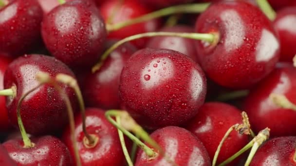 Juicy and fresh cherries — Stock Video