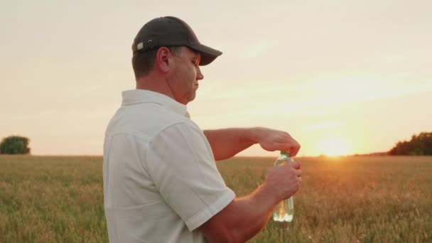 Muž středního věku farmer otevře láhev vody a nápojů. Stojící v poli pšenice při západu slunce — Stock video