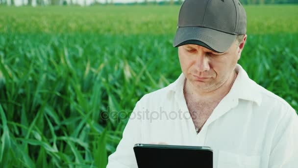 Retrato de un granjero de mediana edad. Trabaja en el campo del maíz, utiliza una tableta digital — Vídeo de stock