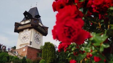 Graz, Avusturya, Haziran 2017: Eski Saat Kulesi ile gül çiçek ön planda. Yanına turist yürümek. Bir Graz city konumlar