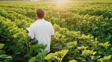 Atış Steadicam: akşam gün batımına, alanında çiftçi eserlerinde bir tablet sahiptir. Arkadan görünüş