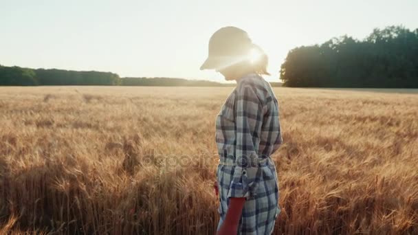 Woman farmer walking on wheat field, looking at mature spikelet. Slow motion video — Stock Video