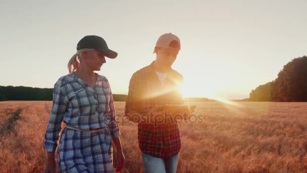 Dois jovens agricultores estão caminhando ao longo do campo de trigo ao pôr do sol, desfrutando de um tablet. Trabalho de campo e boa colheita — Vídeo de Stock