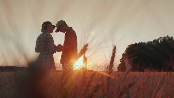 農家は小麦の分野で仕事、通信、タブレットを見ています。美しい夕日のフィールドで — ストック動画