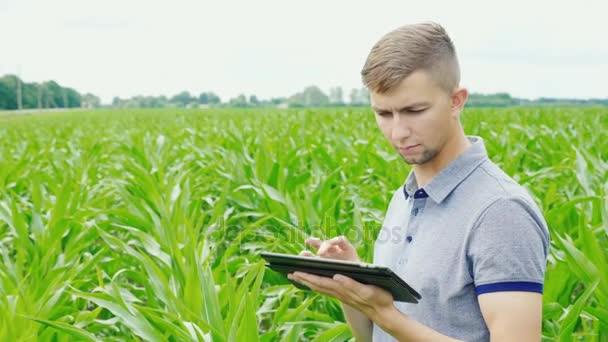Un giovane agricoltore caucasico sta lavorando sul campo di mais. Utilizza una compressa — Video Stock