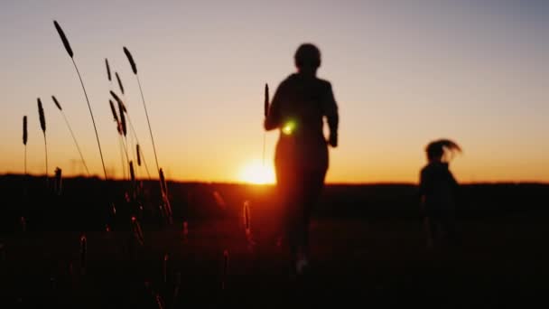 Mulher e menina correndo ao pôr do sol, silhuetas contra o pôr do sol — Vídeo de Stock