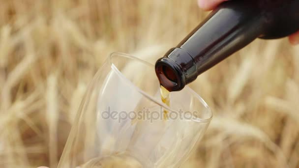 Налейте пиво в стакан на фоне размытого фона с ячменного поля. Глубокая глубина поля — стоковое видео