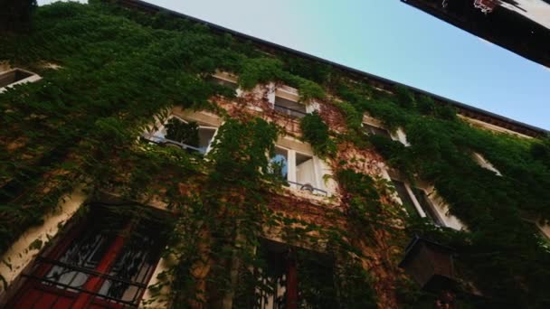 Facciata di una casa medievale a Roma. Coperto di edera. Obiettivo grandangolare — Video Stock