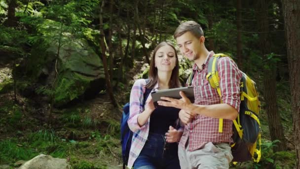 Young man and woman are looking at the way on the tablet. They stand in a picturesque place in the forest. Orientation and cartography — Stock Video