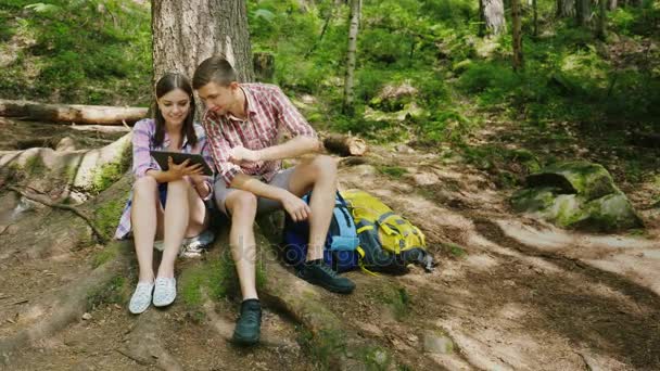 A young couple of tourists are resting under a tree. They sit on the roots, use a tablet. Nearby are their hiking backpacks — Stock Video