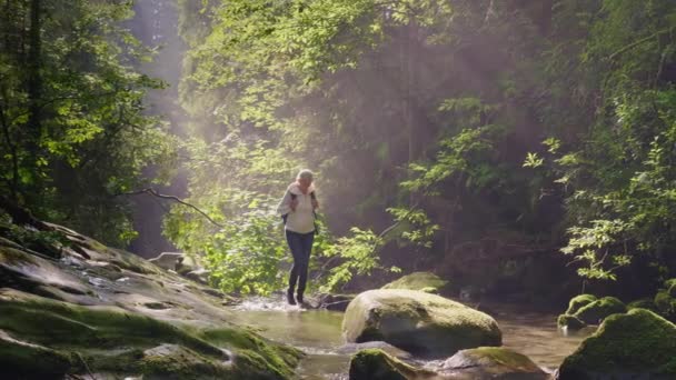 Una donna sola vaga attraverso l'acqua nella foresta. Persi nel bosco, avventure pericolose. I raggi del sole del mattino la illuminano magnificamente — Video Stock