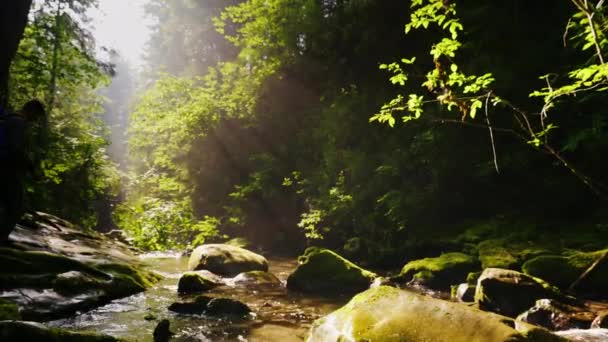 Silhouet van een man met een rugzak, kruist een rivier berg of stream. Mooie bos met stralen van de ochtendzon. Avontuur en extreem toerisme — Stockvideo