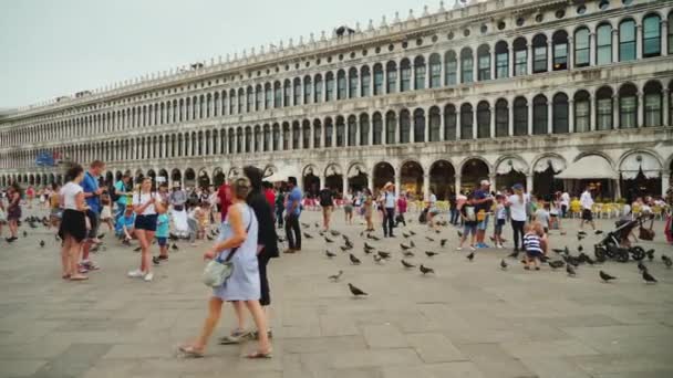 Många turister vandrar på den enorma Markusplatsen i Venedig, juni 2017... Duvor cirklande — Stockvideo