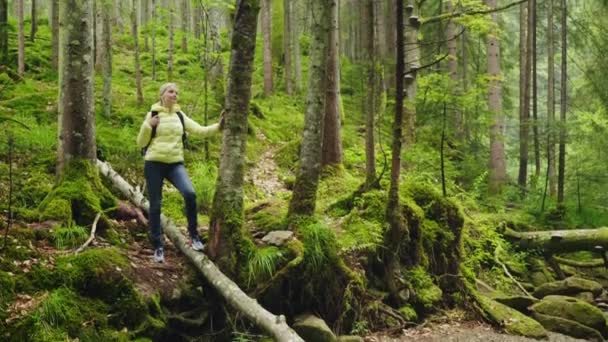 Eine Frau ist Touristin im Wald. Er ruht in der Nähe des Baumes und bewundert die schöne Aussicht. Aktiver Lebensstil — Stockvideo