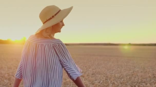 Uma jovem mulher ao pôr-do-sol caminha no campo de trigo.. Steadicam tiro — Vídeo de Stock